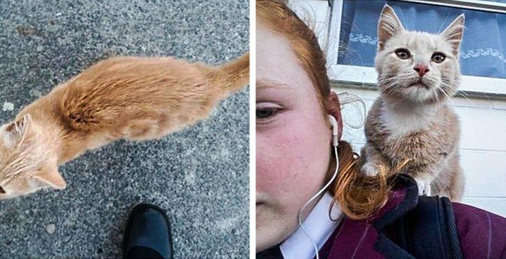 1f5f42503492f2dd4575188085