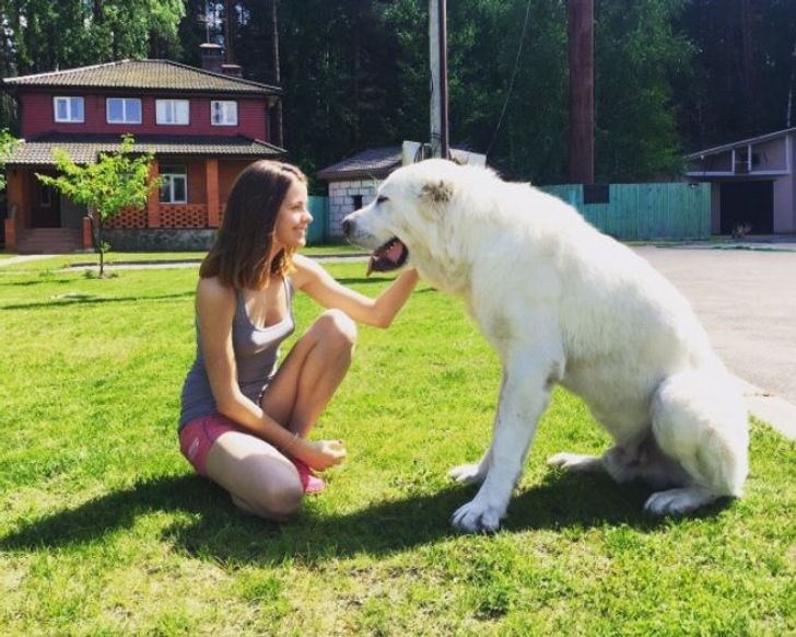 1f6020529b808a250b8c3d5b8b