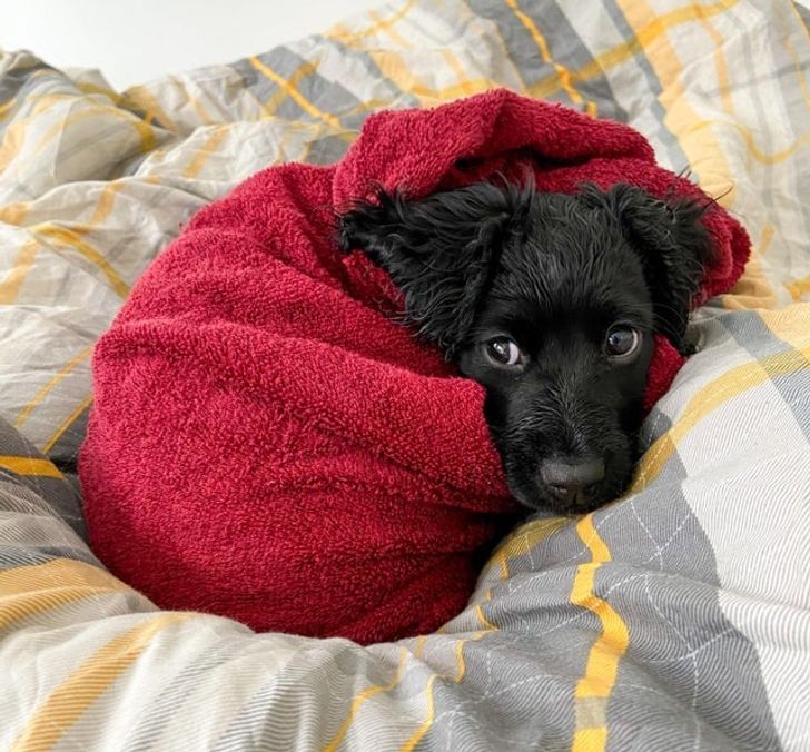 1f61975c02a9d512a32995c2b2