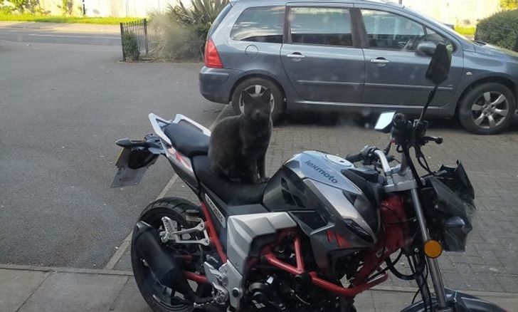 1f68d650b9bbcfbc36b97da789 1f68d650b9bbcfbc36b97da789