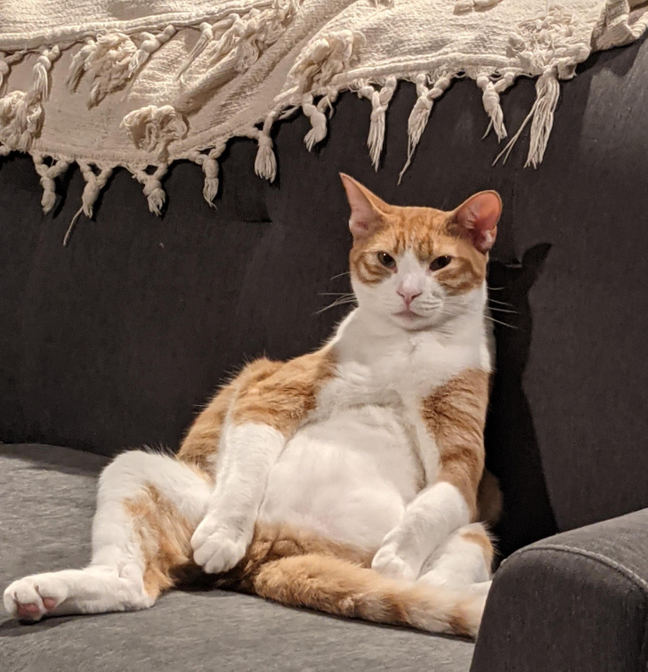 1f7353506ca4e1f3d711065de7