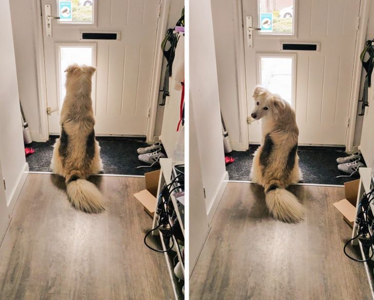 1f74495d26a9b425cbacccef99