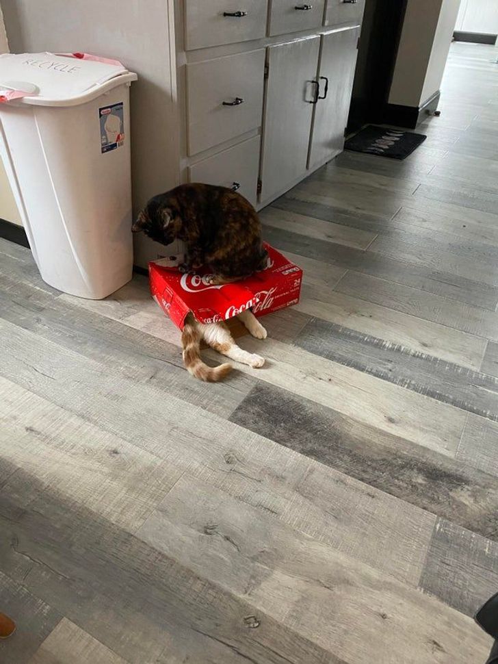 1f7a8d5b5d8608b0e6ce767b29