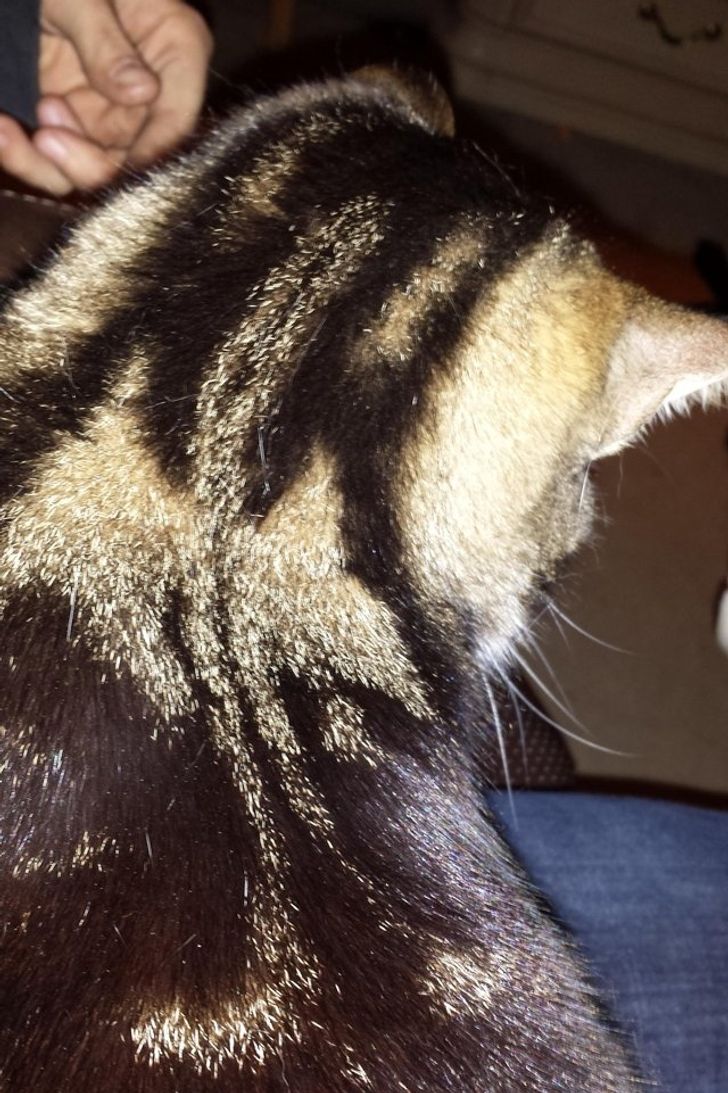 1f7b1658348761656c8647084c