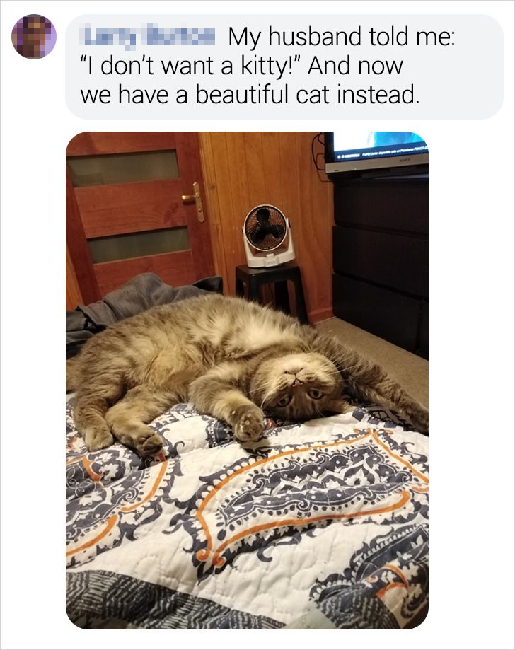 1f7b995506899c6f5fac976f03