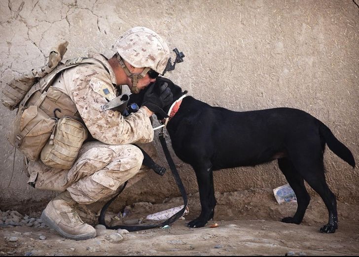 1f7d4d5e4092dc0caf66ab742c