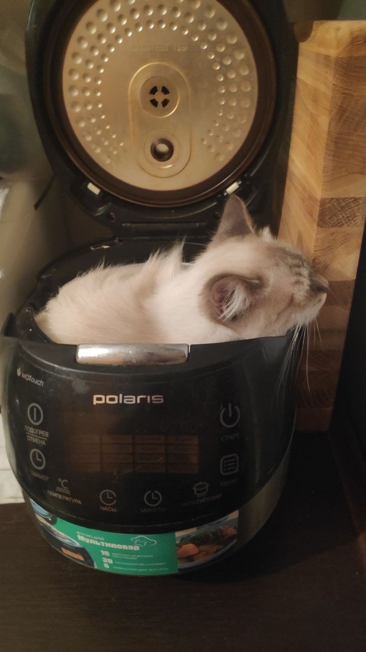 1f87825cd5b3654ed1bbf14a4d