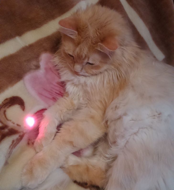 1f91815d2e9d2e64e272a6dba1