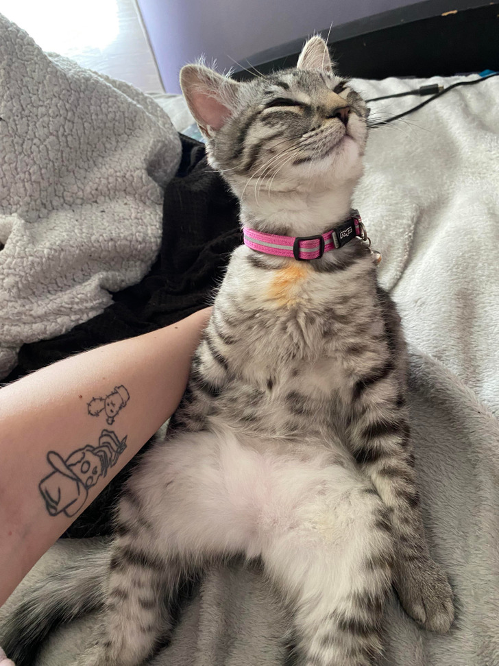 1f9a15514096d6f8f09c19a359