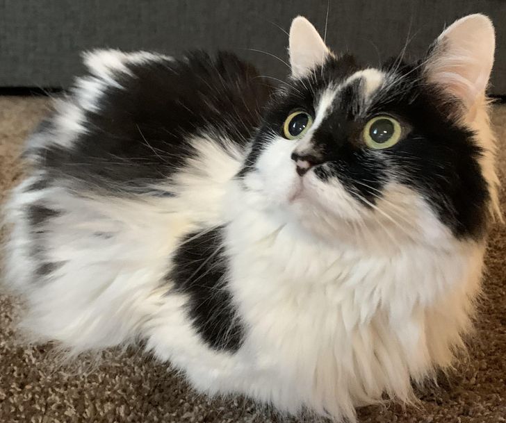 1fa14e584b93daa2c3dfbe9127