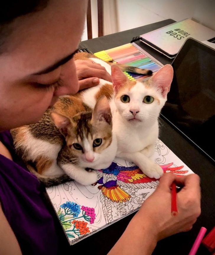 1fa46c5fbe9f0c7c693d838f05