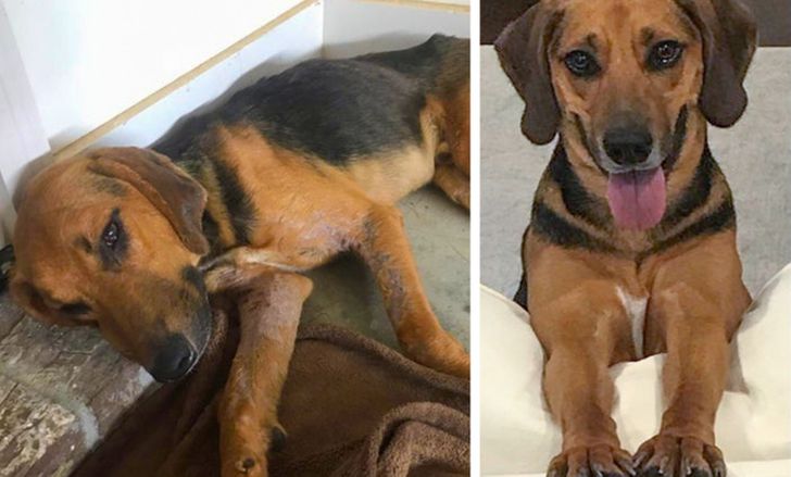 1fa666579d91268c76df196947