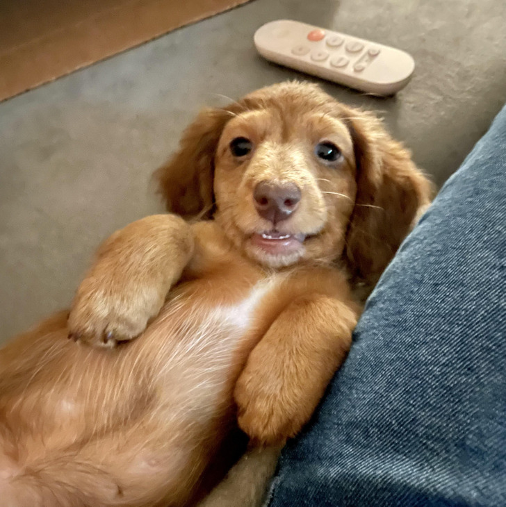 1fb56554b78eb15b97fda3a246