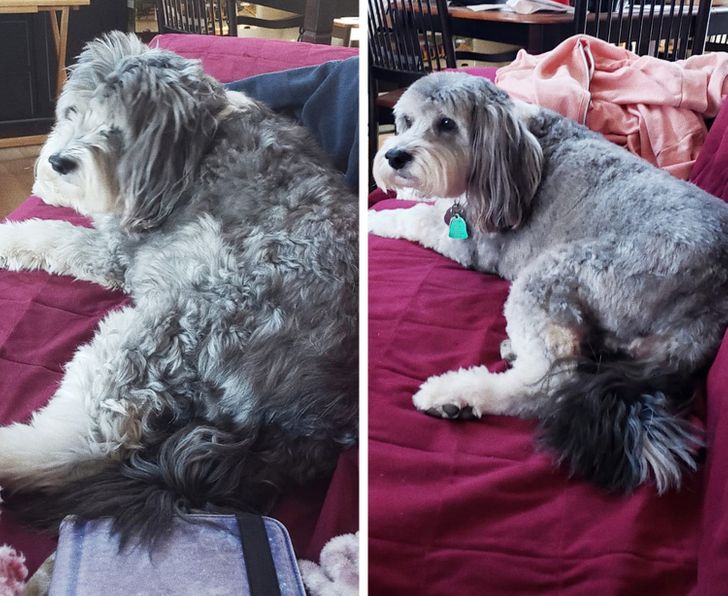 1fb5f3596d811387210447f628