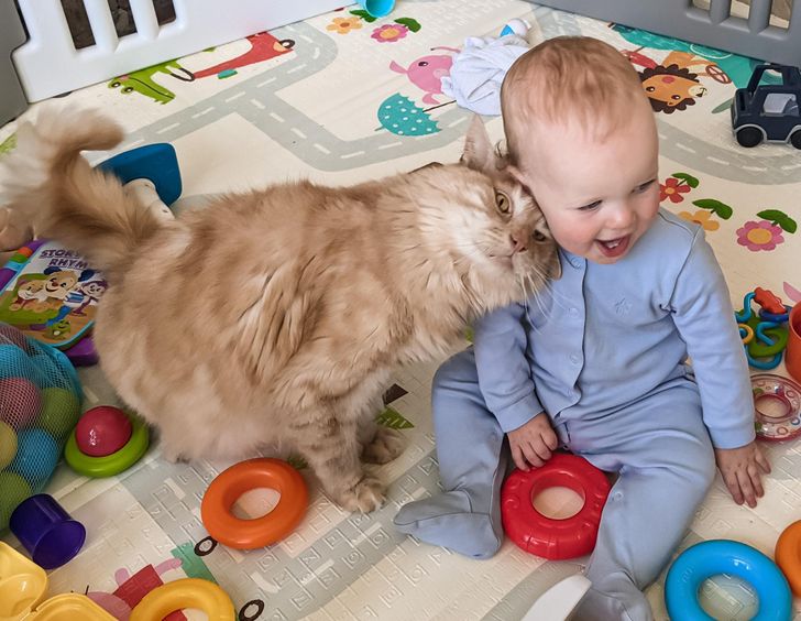 1fb6095d469b2fb2a79aa6e0e6