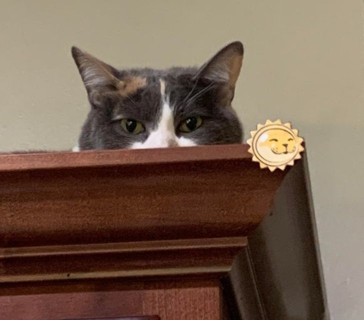 1fb6535e038afdb620de4ac1d0