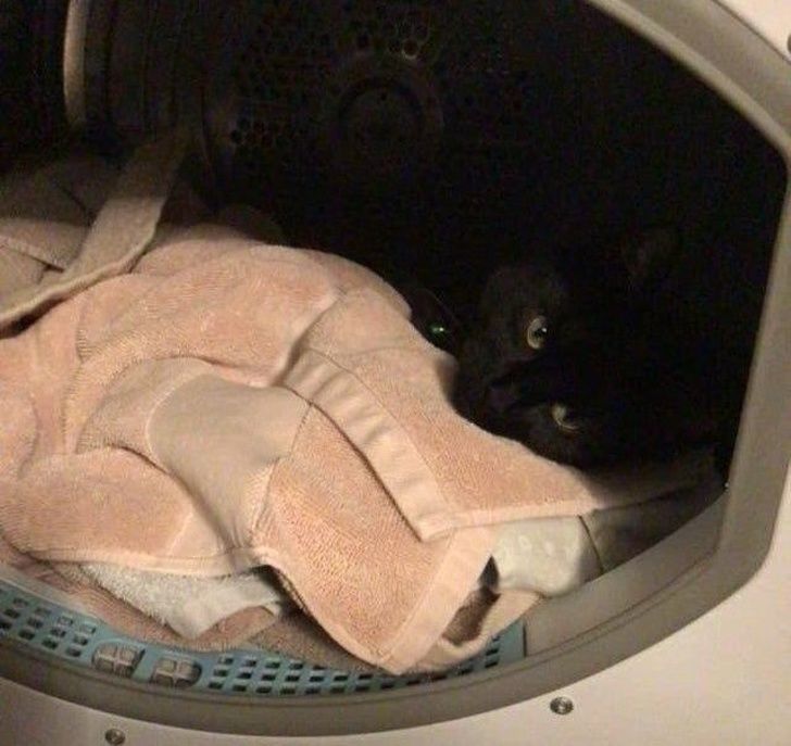 1fb6dd527f82ebf3a4bf5b8dcf