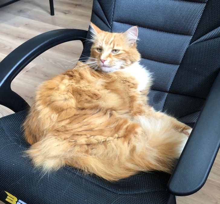 1fb89d55148bbf1d9a7f25f319