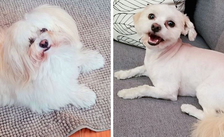 1fbc1b53ad8ddf561c8ccd01a1