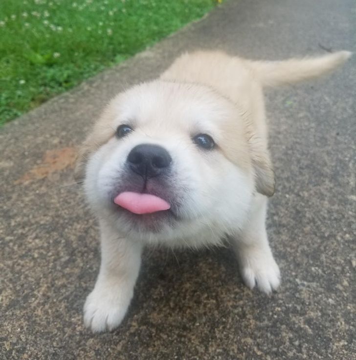 1fc46b5e7b981746f6789b719b