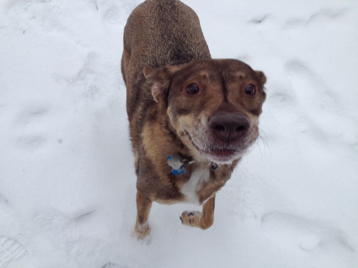 1fc9bd546db5f972c6f2f6c25f