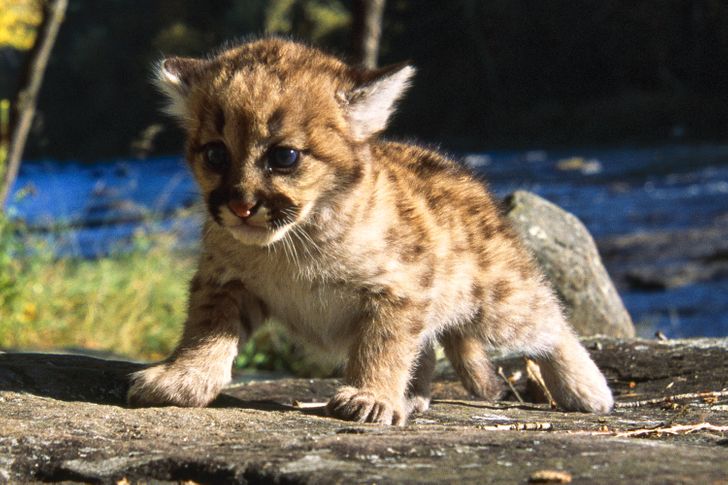 1fccc450978958935551fed1a0