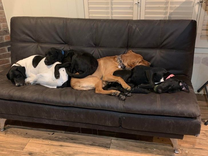 1fccf25a1fa7f53a39f5b335c2