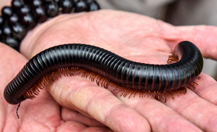 1fd97a5d208e6161c689e78090