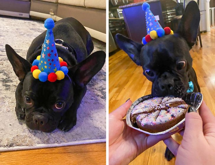 1fe11051b7b142bd9803355667