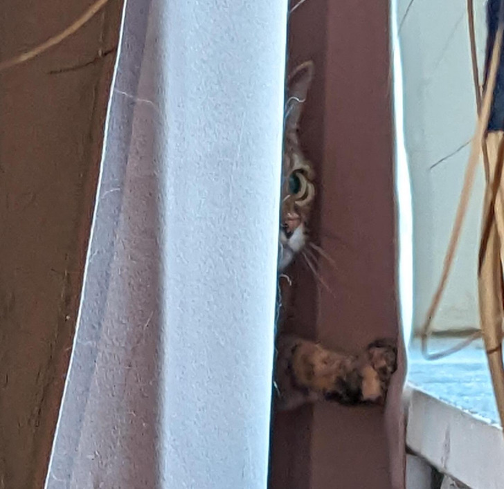 1fe7725735b2a101f6913f96f0 1fe7725735b2a101f6913f96f0