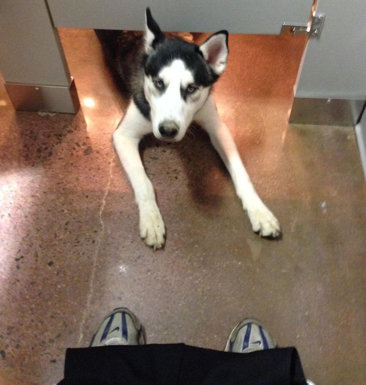 1fe8885dc8b1bf5d1501f26af7