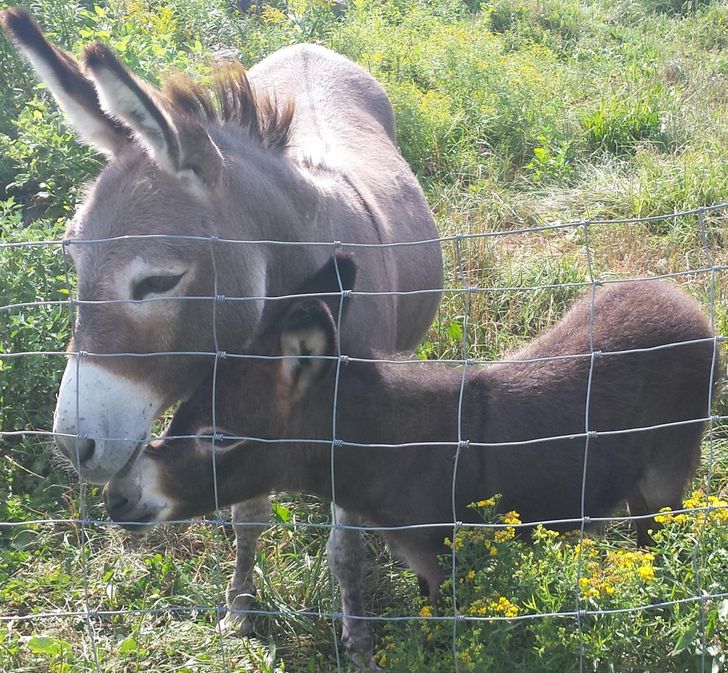 1fed715edbb15a1955cbef70f2