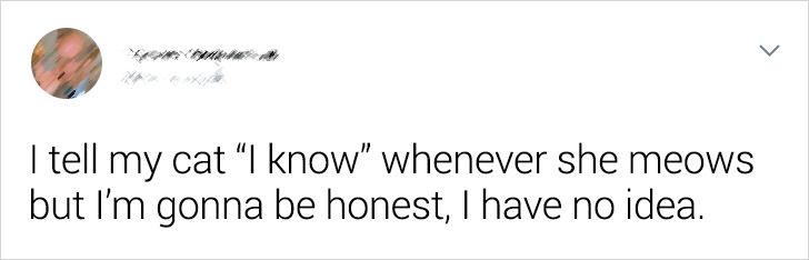 1ff3da5fe79b29e59507292561