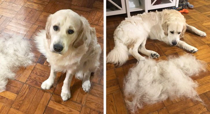 20016e584ca5b23dbd8e2a0db9