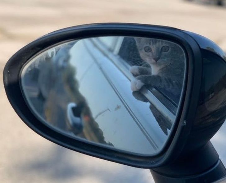 2002175372b55fba5fc65b6b2f