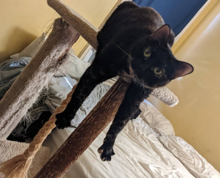 2004a95977895d889e7724a98b 2004a95977895d889e7724a98b