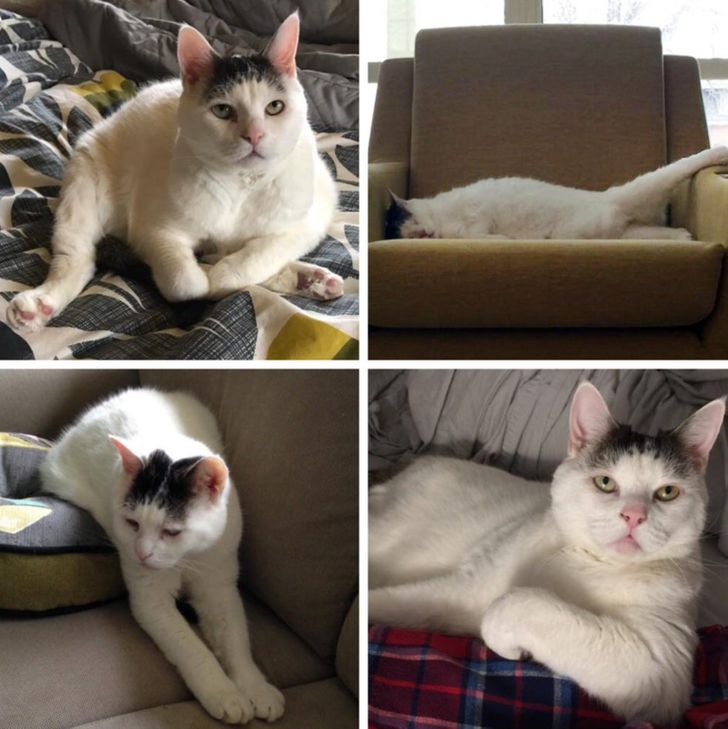 20084f5eed810e3cdd8e72405b