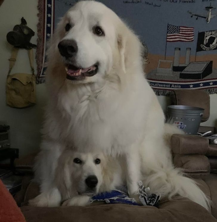 2013e05d40b2aeffc63ccb86c8 2013e05d40b2aeffc63ccb86c8