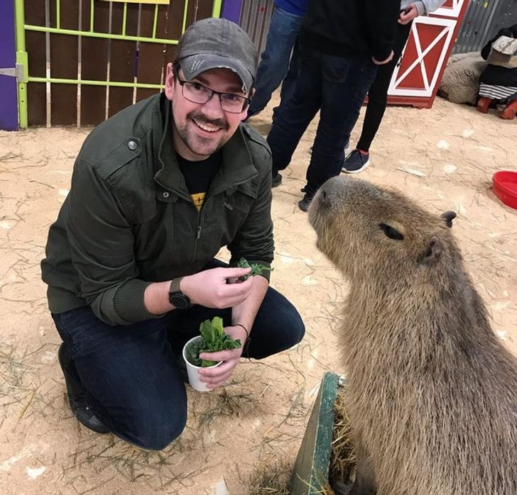 2014ad53b0b1a574556217f997