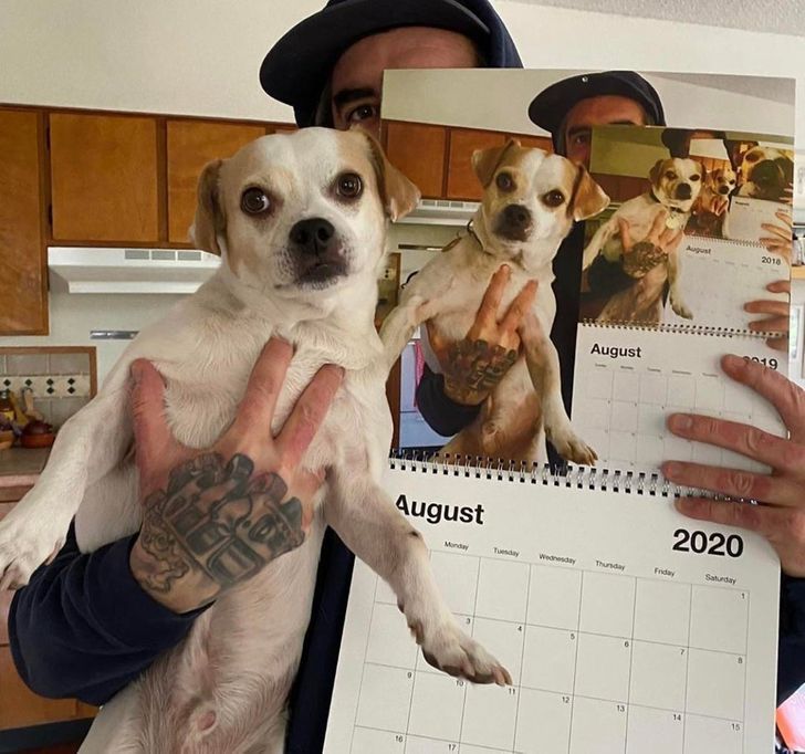 201ae45f319476e30d17694671