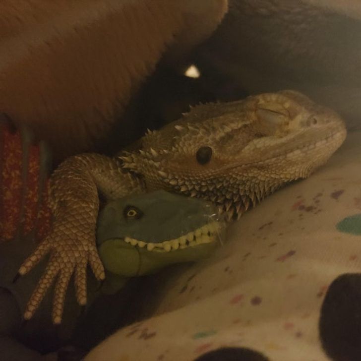 201eb850d0b54535be6fd93c6a