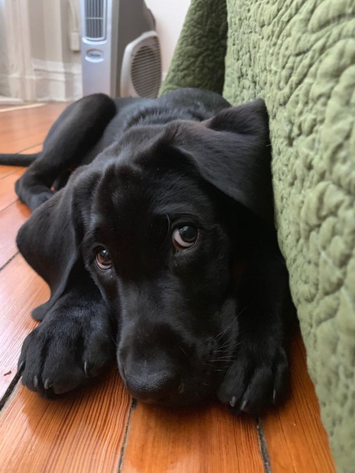 2020fc5b94b88690b3a9379ba1