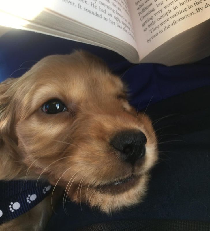 20242b511ebcd26835b5c8d916