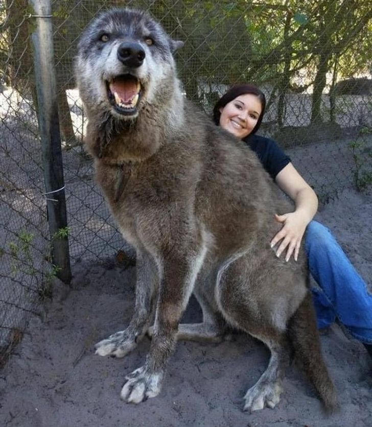 2028d55c8e9f02c1dbcc1ac8c9