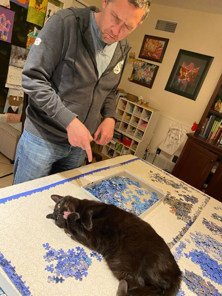 202c42588b8246ee13e2a055c3 202c42588b8246ee13e2a055c3