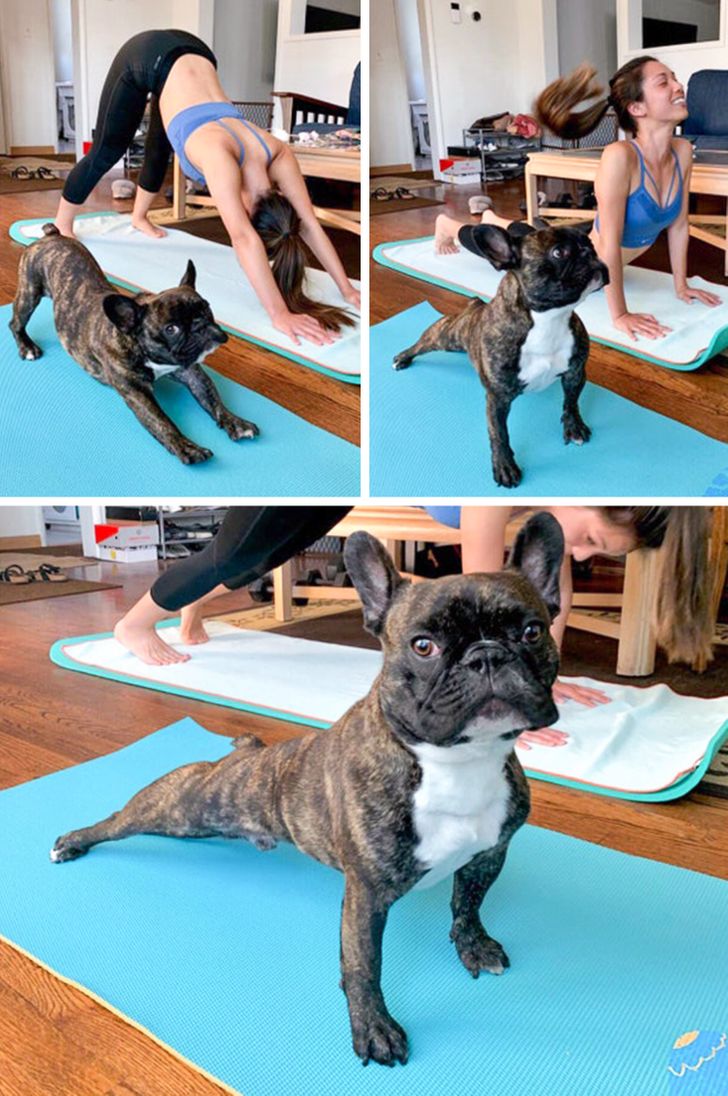 20355f5bfdb36a64830fc71c6e