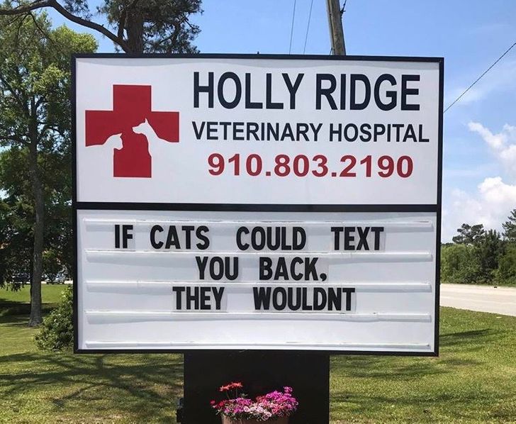 203bcb5a4b8eac97b35da3bfa7