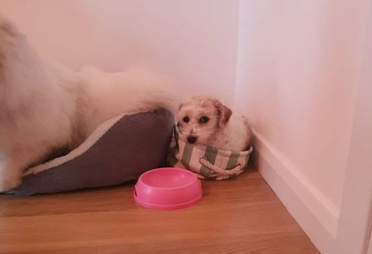 203be85981837cf97720d5ecf5