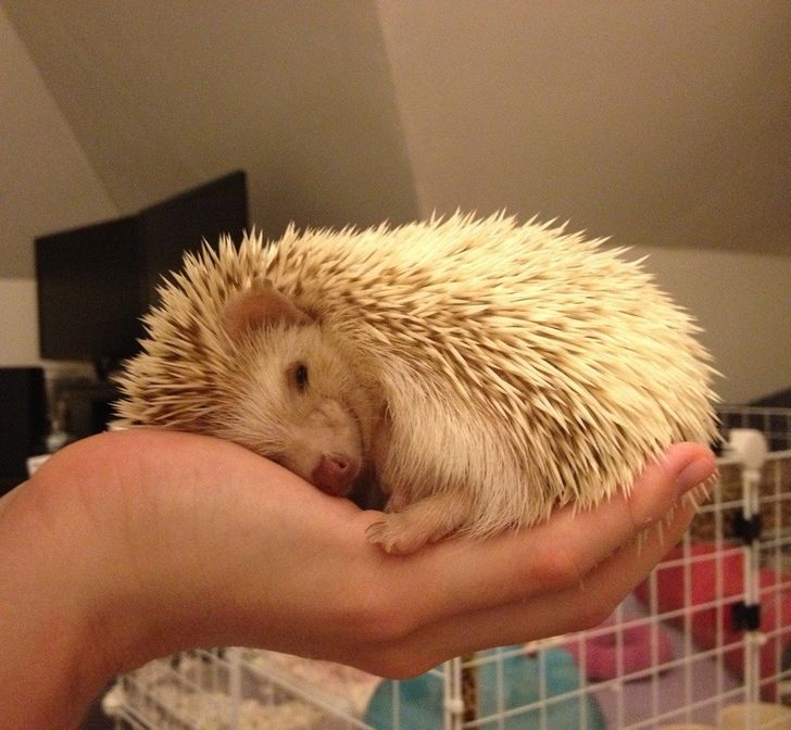 203c0d5868ad318f070a5a6c28