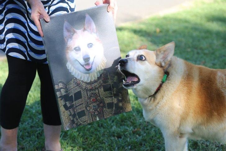 203e5b58f1853fd97e1cc4428a